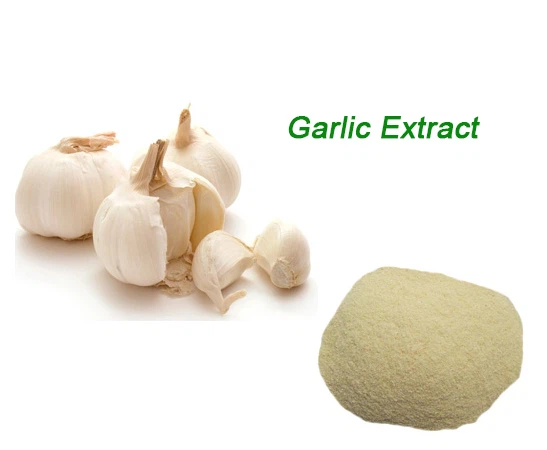 product-400-1 Botanical pesticide additives allicin extract powder