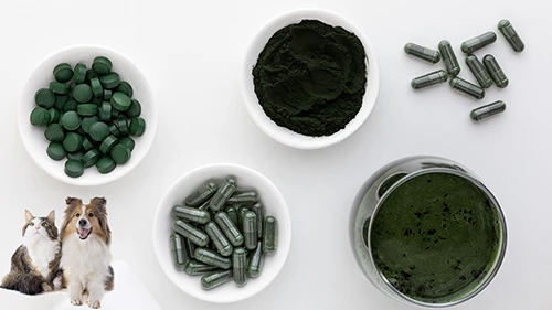 Spirulina powder benefits for animals