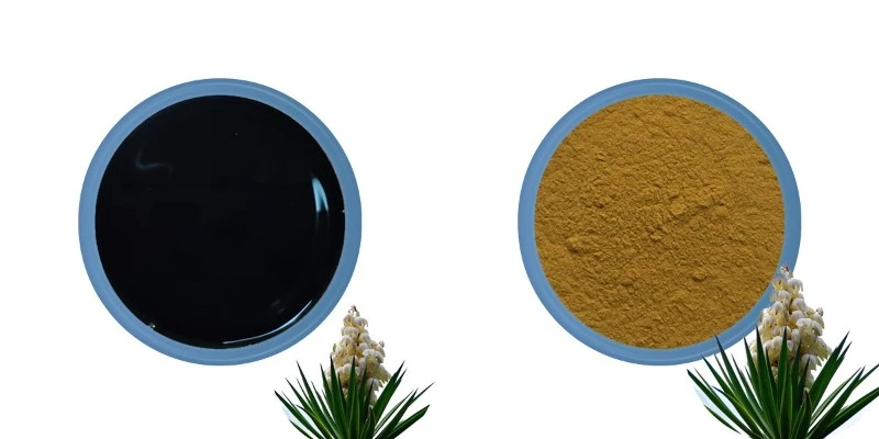 Yucca powder supplier Yucca powder supplier