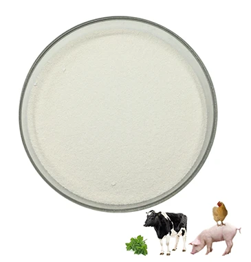 hjagrifeed Pyridoxine Hydrochloride Powder hjagrifeed Pyridoxine Hydrochloride Powder
