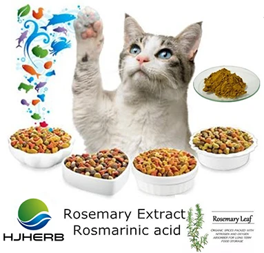 Rosemary Extract Powder Bulk Rosemary Extract Powder Bulk