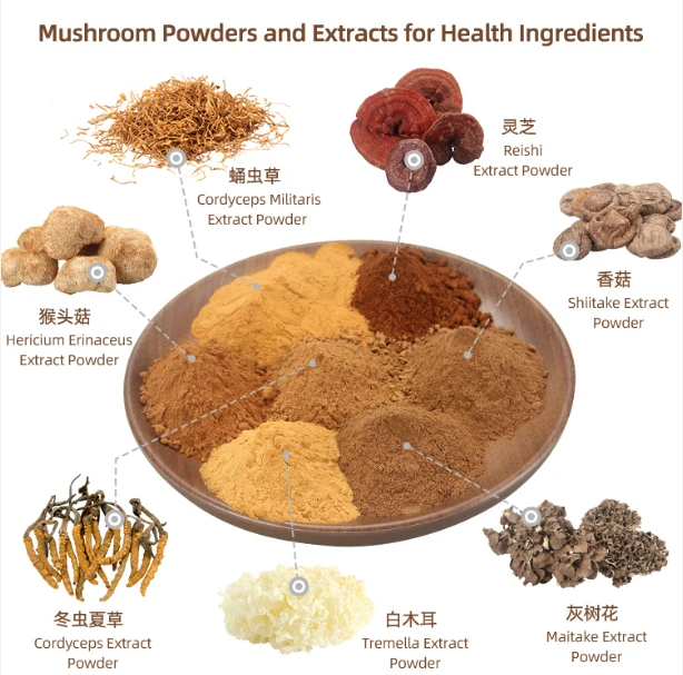 Buy Turkey Tail Mushroom Powder Buy Turkey Tail Mushroom Powder