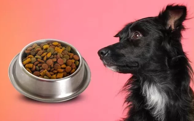 Passionsfrugtpulver Pet Application Passionsfrugtpulver Pet Application