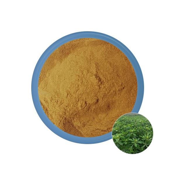 Fenugreek-extract-powder