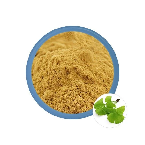 Pudră de extract de Ginkgo Biloba