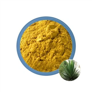Pudră de rădăcină de Yucca