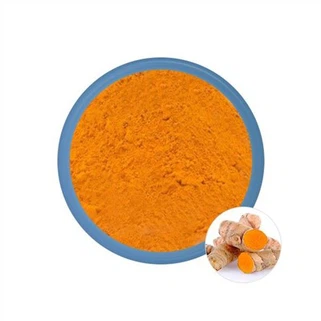 Extract de curcumină