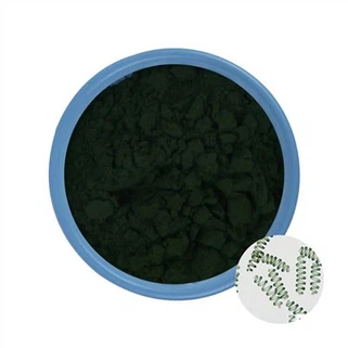 Pulbere verde de spirulina