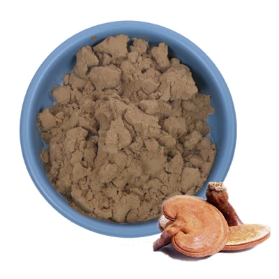 Vânzător de ciuperci Reishi în vrac