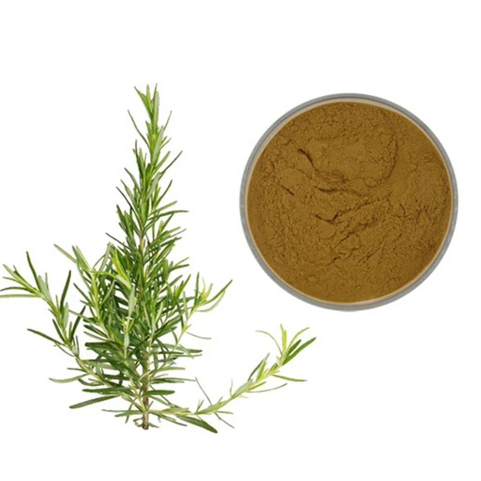 Extract de acid carnosic