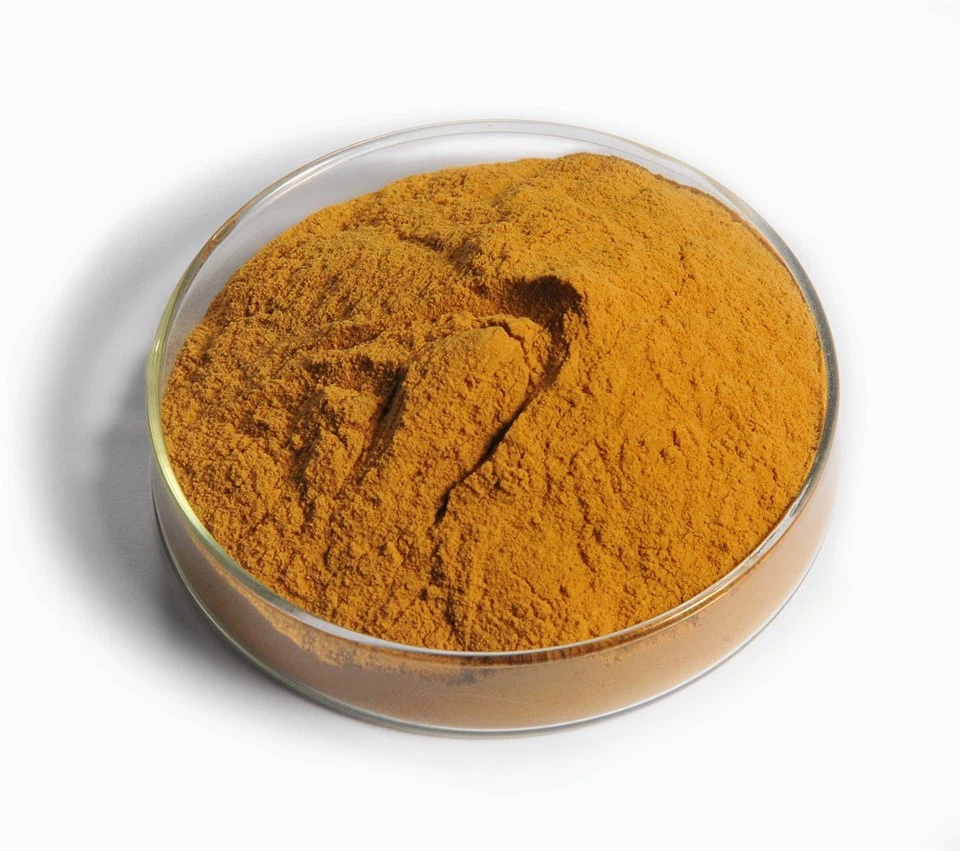 Corn Gluten Meal