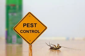 Capsaicină în controlul dăunătorilor: o soluție naturală pentru respingerea r...